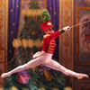 Great Russian Nutcracker at Cannon Center
