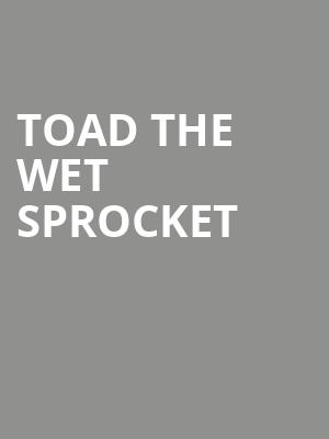 Toad the Wet Sprocket, Graceland, Memphis